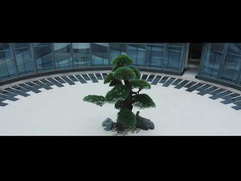 Video18